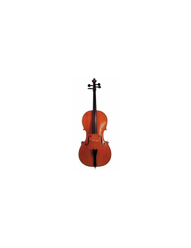 Reso Gratuito VIOLONCELLO 4/4 SOUNDSATION P601 CON TAVOLA IN ABETE MASSELLO CON ARCO E CUSTODIA
