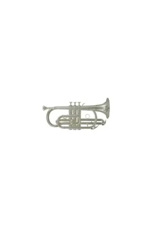 ROY BENSON CORNETTA CR 202 S Offerta Limitata