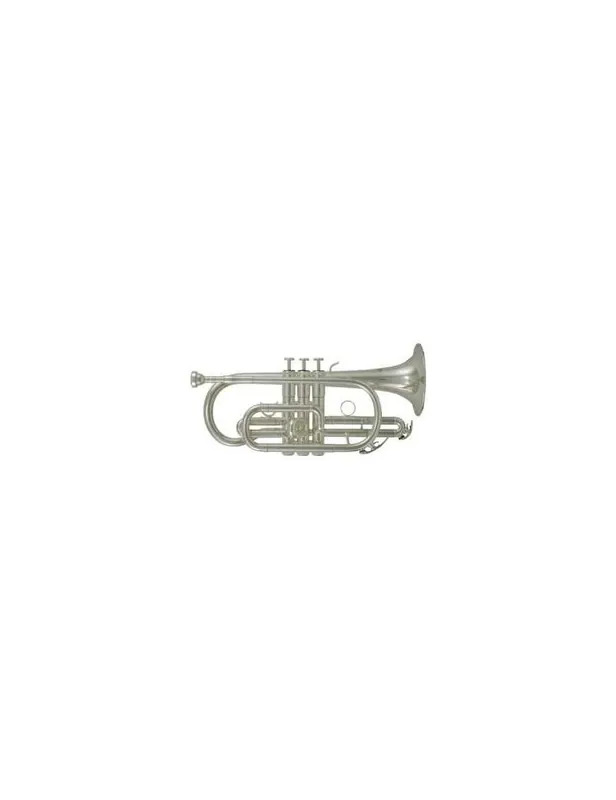 ROY BENSON CORNETTA CR 202 S Offerta Limitata