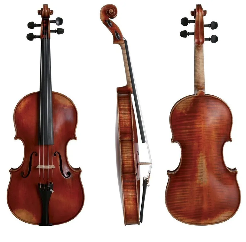 Scelto Dai Clienti Violino Gewa Germania 10 Roma