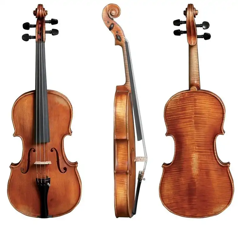 Violino Gewa Germania 10 Praga Offerta Del Giorno