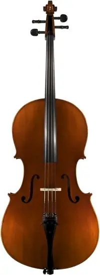 Prezzo Basso Violoncello Far East mod. C 4/4 - set completo