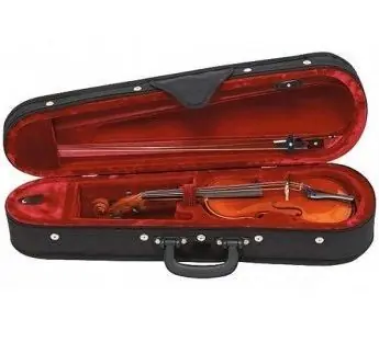 Direttamente Dal Produttore Violino Far East 4/4 mod. D - set completo