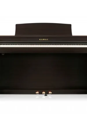 KAWAI CN 301 RW Spedito Oggi