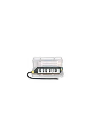 Scelto Dai Clienti BONTEMPI 33 4262 Diamonica 25 Tasti con astuccio