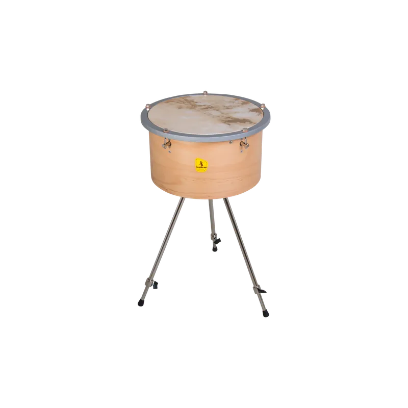 STUDIO 49 -DP350P-TIMPANO ROTARY Must-Have