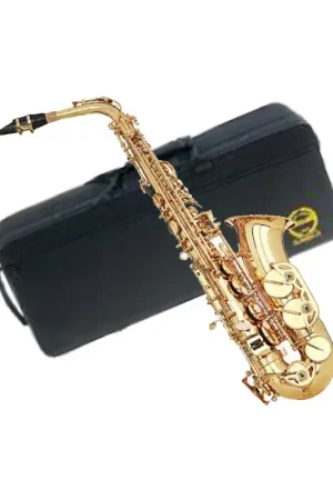 Grassi SAL700 SAX ALTO Eb LACCATO CON CUSTODIA Prezzo Conveniente