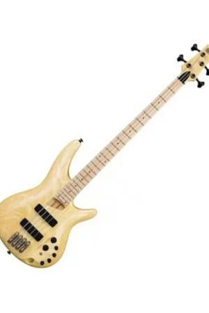 Pagamento Sicuro SR4500E-NT Basso Elettrico Natural