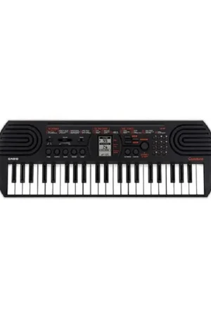 Novità CASIO SA-81
