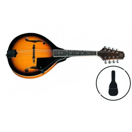 Affare OQAN QMAN-10ESB Mandolino elettrificato