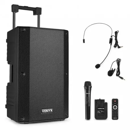 Offerta VONYX VSA500-BP Sistema portatile