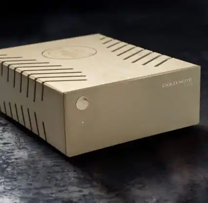 Ordina Subito Gold Note Psu 10 Alimentatore