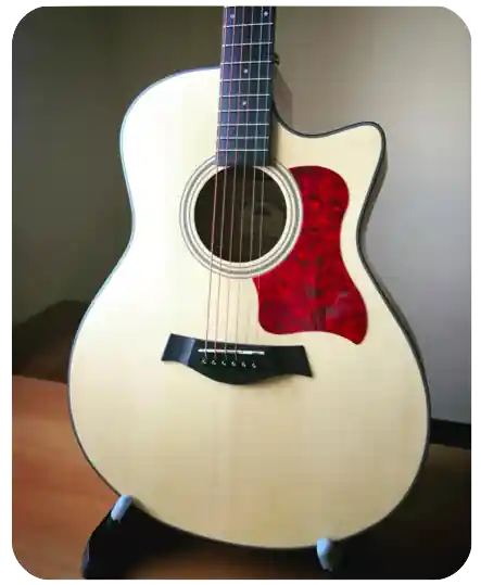 Direttamente Dal Produttore VERMONT G120CE-N CUTAWAY ELETTRIFICATA NATURAL