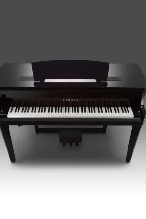 Offerta Del Giorno YAMAHA N1X AVANT GRAND
