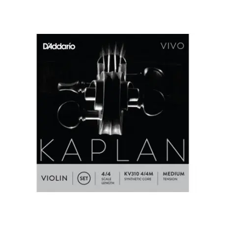 KAPLAN VIVO corda per violino MI di D‘Addario Spedizione Espresso