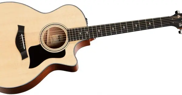 Soddisfatti O Rimborsati Taylor 314ce V-Class