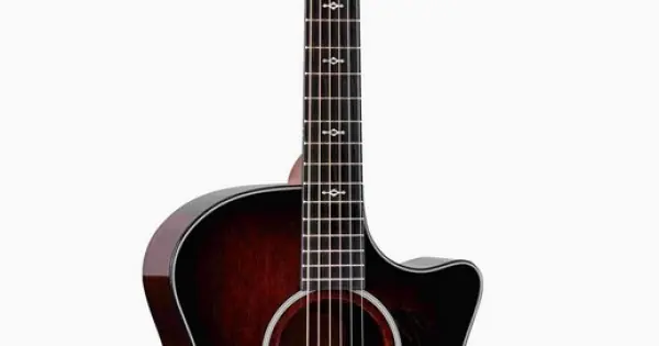Consegna Rapida Taylor 324ce 2026 Next Generation