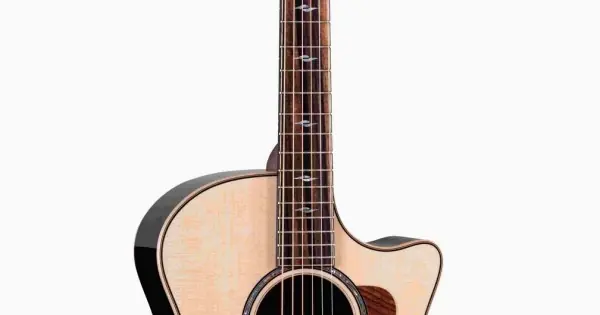 Taylor 814ce Next Generation Solo Oggi
