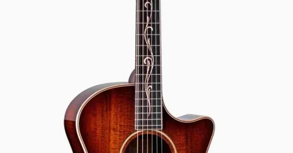 Occasione Imperdibile Taylor K24ce Next Generation