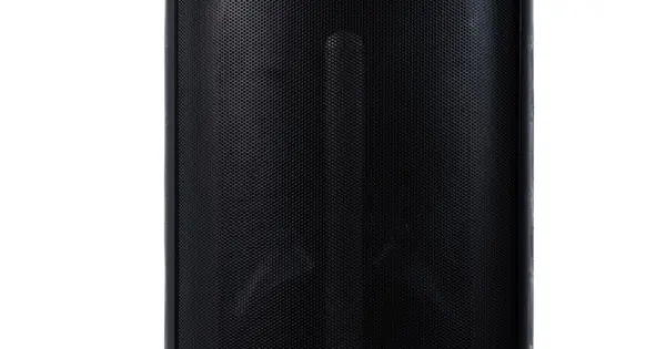 AUDIODESIGN DJ 208 - DIFFUSORE PORTATILE CON USB E BT DA 600 WATT Più Venduto