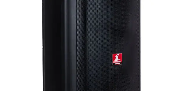 AUDIODESIGN DJ 212S - DIFFUSORE PORTATILE CON USB E BT DA 1050 WATT Economico