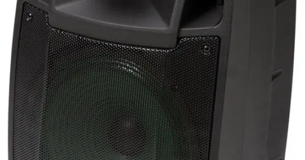 AUDIODESIGN M2 12W/L - Diffusore a Batteria con 2 Mic. Wireless Vendita Finale