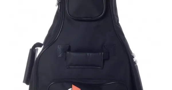 Offerta Del Giorno BESPECO BAG100CG - BORSA MORBIDA PER CHITARRA CLASSICA