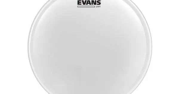 Occasione Imperdibile EVANS B10UV1 Coated 10" - PELLE 10" MONO STRATO SABBIATA