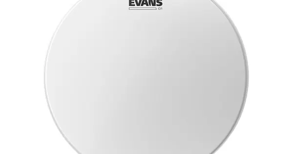 Miglior Prezzo EVANS B12G1 Genera G1 Coated 12" - PELLE MONO STRATO SABBIATA 12"