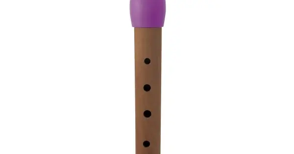 Nuovo Arrivo HOHNER B95851 Pink German - FLAUTO SORANO CON DITTEGGIATURA TEDESCA