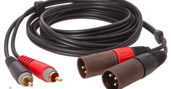 Ordina Subito KLOTZ AT CM0300 - CAVI AUDIO STEREO 2 RCA 2 XRL MASCHIO (3 METRI)