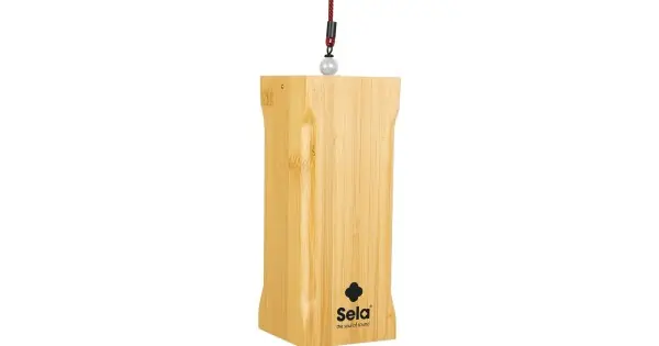 Novità SELA PERCUSSION CH SEV AI VENTI CHIMES FIRE BIANCO (ARIA) - CHIMES IN BAMBOO INTONAZIONE A-C-E-B CON CUSTODIA INCLUSA