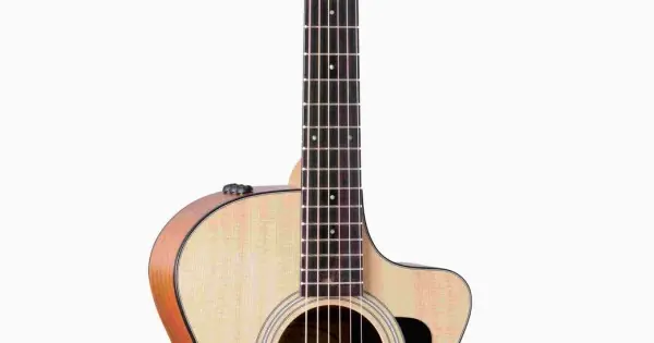 Spedizione Espresso Taylor 112ce-Sapele