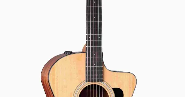 Taylor 114ce Sapele Offerta Limitata