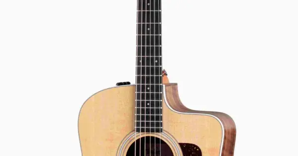 Vendita Finale Taylor 210ce