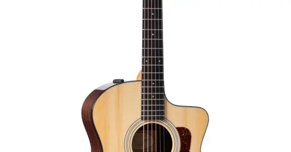 Direttamente Dal Produttore Taylor 214ce Plus