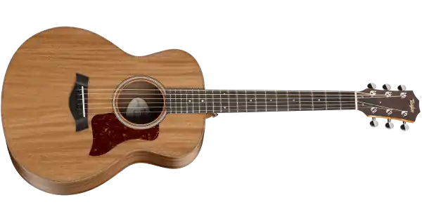 Occasione TAYLOR GS Mini Mahogany