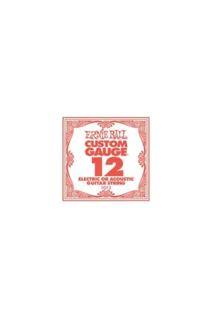 Ernie Ball 1012 Plain Steel .012 Bestseller