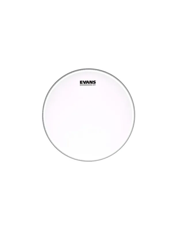 Evans UV1 14‘‘ Coated - Pelle Battente per Tom/Rullante Spedito Oggi