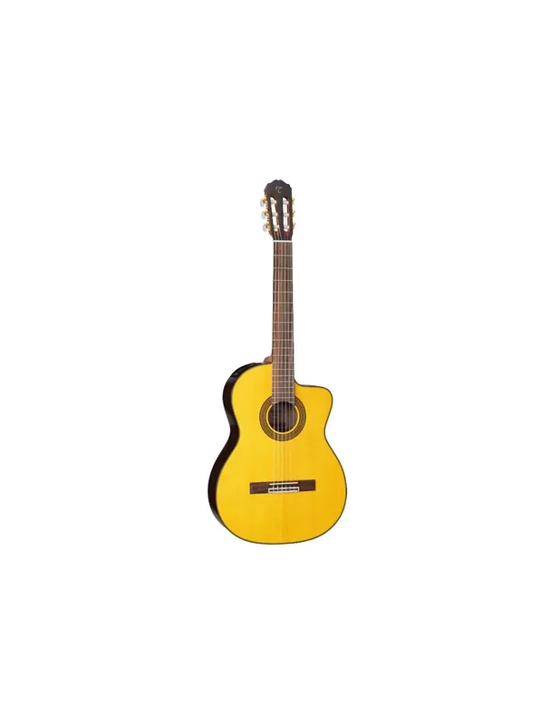 Takamine GC5CE Natural Must-Have