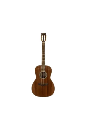 Takamine GSY11ME NG Natural Gloss Promozione Esclusiva