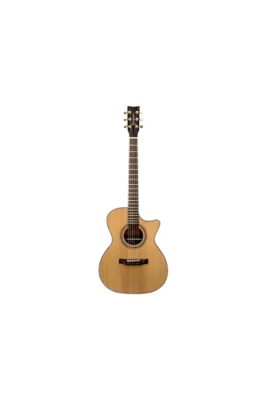 GOLDWOOD GW-CS-GACE-ME-NG Chitarra acustica Grand Auditorium Natural Lucida Acquista Ora