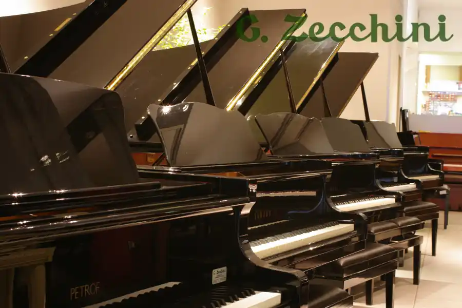 Prezzo Di Fabbrica Pianoforti • Strumenti Musicali • Libri & Spartiti