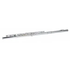 Professionale Pianoforti • Strumenti Musicali • Libri & Spartiti