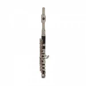 Pianoforti • Strumenti Musicali • Libri & Spartiti Ultime Pezzi