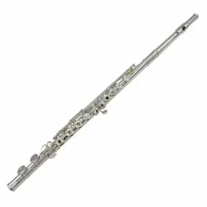 Scelto Dai Clienti Pianoforti • Strumenti Musicali • Libri & Spartiti