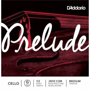 Pagamento Sicuro Pianoforti • Strumenti Musicali • Libri & Spartiti