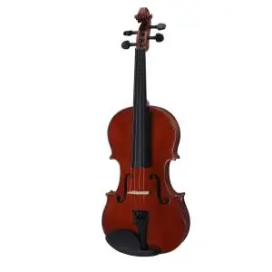 Pianoforti • Strumenti Musicali • Libri & Spartiti Pagamento Sicuro