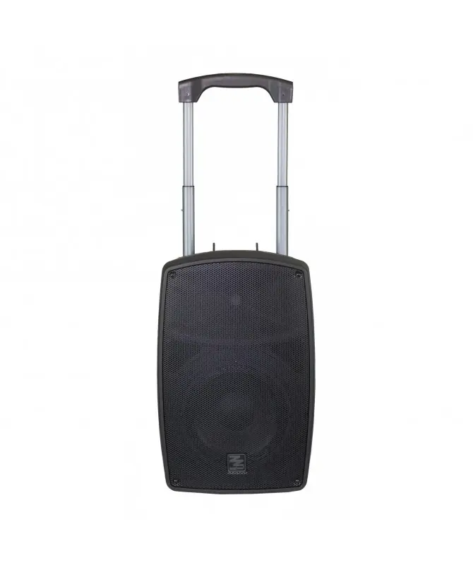 Miglior Prezzo ZZIPP ZZIGAN110, Cassa Attiva 10" a Batteria con 2 Radiomicrofoni