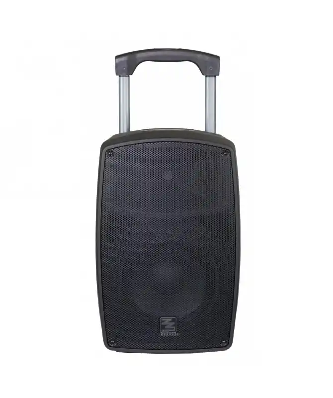 ZZIPP ZZIGAN112, Cassa Attiva 12" a Batteria con 2 Radiomicrofoni - ORDINABILE Di Tendenza